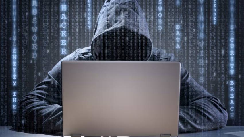 红桥区小程序定制开发：.NET的利刃与暗礁